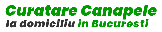 Curatare Canapele Bucuresti